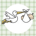 stork